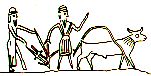 Viehwirtschaft und
Feldbestellung mit
Pflug. Mesopotamische
Rollsiegel